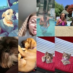 Meet your Posher, Serenity